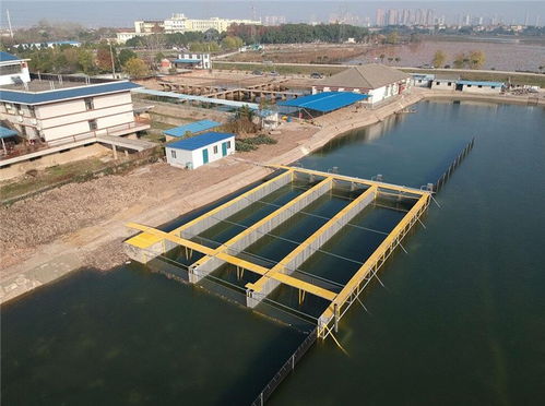 智慧工厂化水产养鱼设备 科技驱动高效养殖新未来