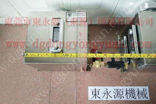 安徽dyy自动喷油机 自动涂油系统找东永源